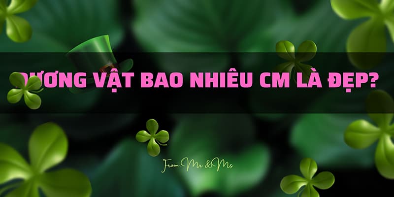 Dương Vật Bao Nhiêu Cm Là Đẹp?