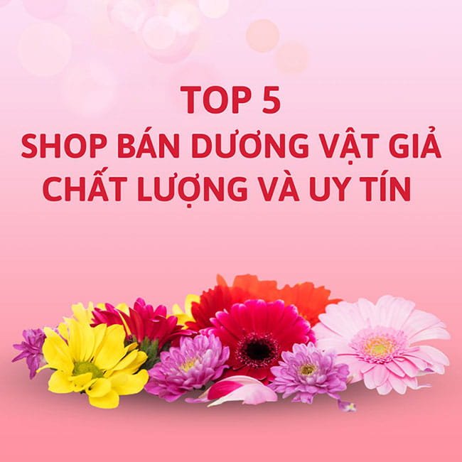 TOP 5 Shop Bán Dương Vật Giả Chất Lượng Và Uy Tín