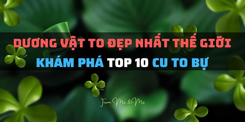 Top 10 Hình Ảnh Dương Vật Đẹp - Cu To Bự Chà Bá Nhất Hành Tinh