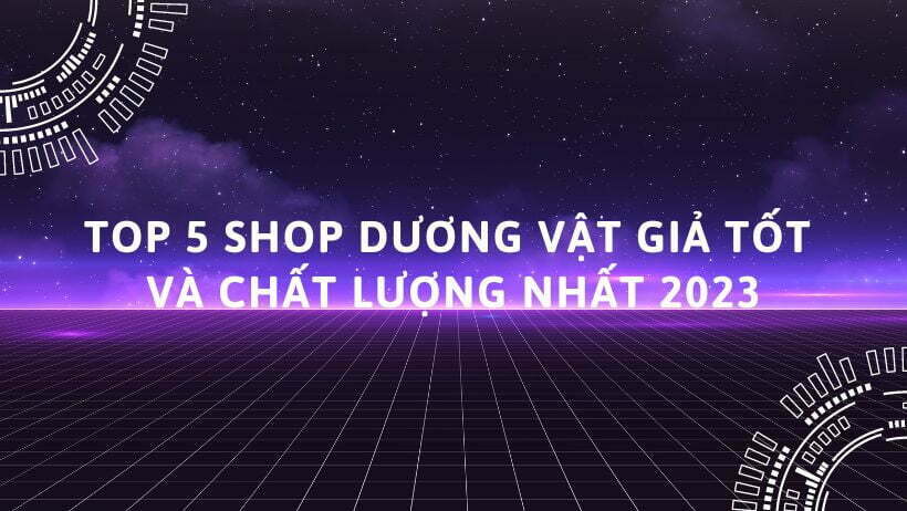 Top 5 Shop Dương Vật Giả Tốt Và Chất Lượng Nhất 2023